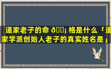 道家老子的命 🐡 格是什么「道家学派创始人老子的真实姓名是」